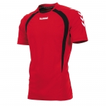 team-t-shirt-red-black-white.jpg