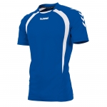 team-t-shirt-royal-white.jpg