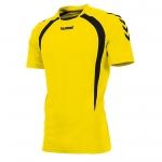 team-t-shirt-yellow-black.jpg